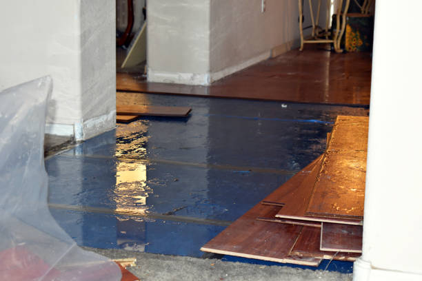 Professional Flood Cleanup technician working in Roanoke, IL