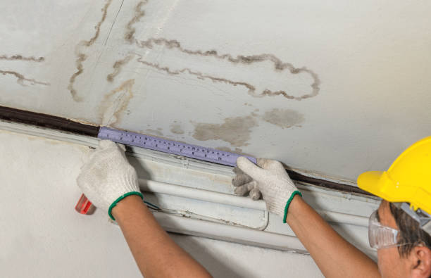 Reliable Flood Cleanup contractor in Roanoke, IL by Water Damage Irwin